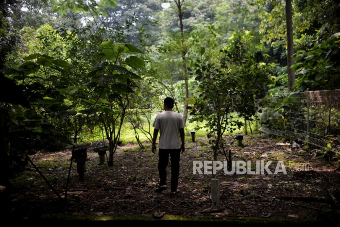 Bagaimana kualitas ruang terbuka hijau di kota-kota besar di Indonesia pada tahun 2025?