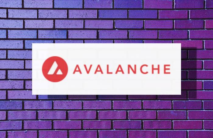 Bagaimana cara mendapatkan _reward_ sebagai validator di Avalanche?
