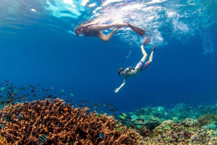 Paket liburan keluarga tahun baru 2025 ke Raja Ampat dengan snorkeling