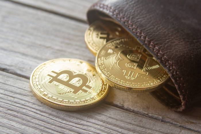 Apa saja wallet cryptocurrency yang direkomendasikan?