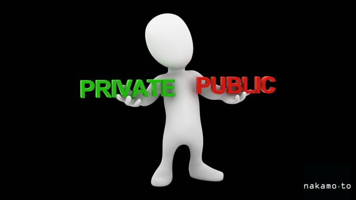Apa perbedaan antara blockchain publik, privat, dan permissioned?
