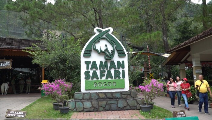 Merayakan tahun baru 2025 di Taman Safari Bogor