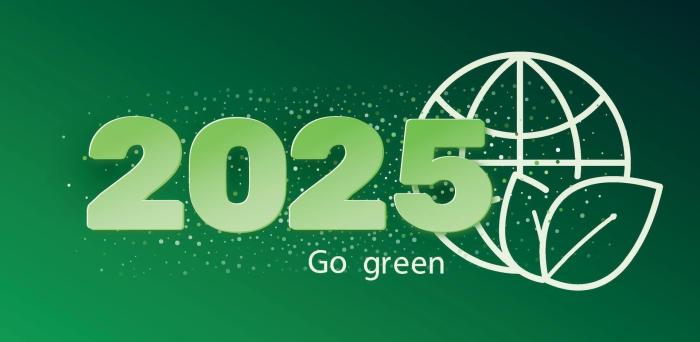 Perayaan tahun baru 2025 ramah lingkungan dengan menghemat energi