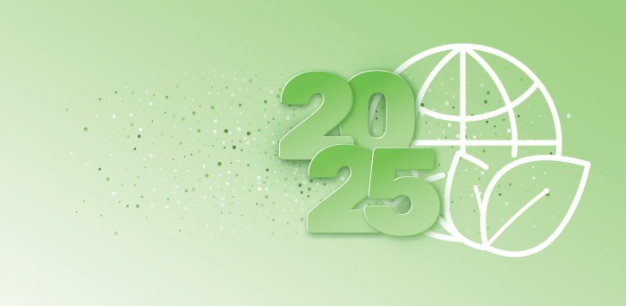 Tips Menjaga Lingkungan Di Tahun Baru 2025