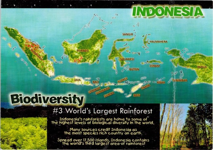 Apakah ada kebijakan baru yang efektif untuk melindungi keanekaragaman hayati di Indonesia?