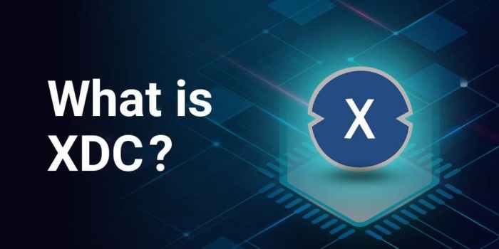 Apa saja dompet (wallet) yang mendukung token XDC?