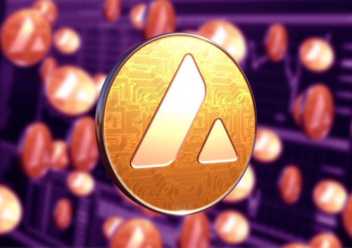 Analisis fundamental Avalanche AVAX