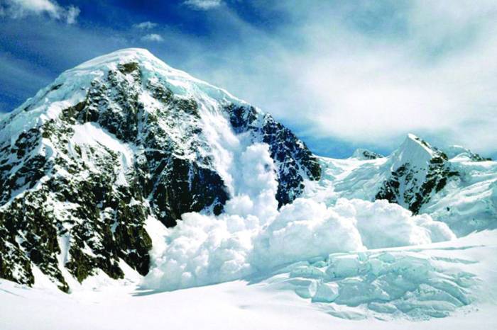 Di mana saya bisa mendapatkan informasi terbaru tentang Avalanche?