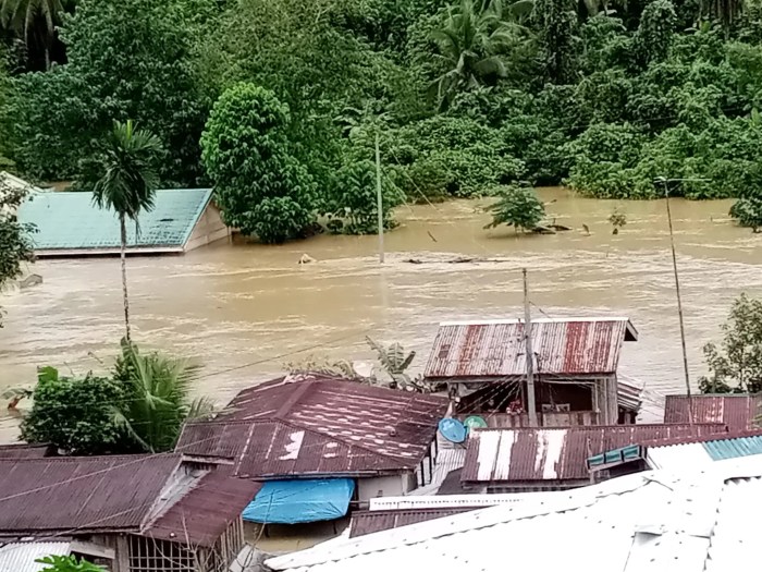 Tips aman merayakan tahun baru 2025 dari bencana alam