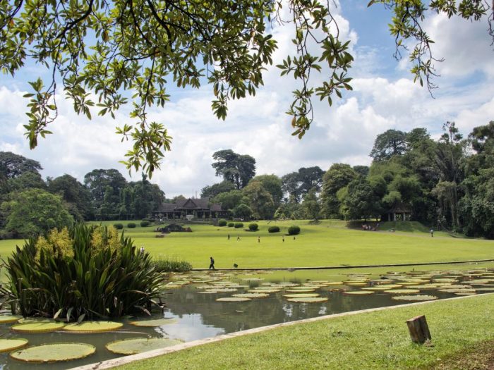 Paket liburan keluarga tahun baru 2025 ke Bogor dengan kebun raya
