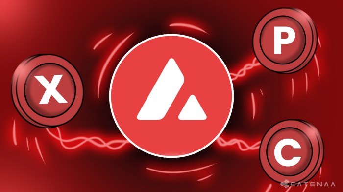 Apa itu X-Chain, P-Chain, dan C-Chain di Avalanche?