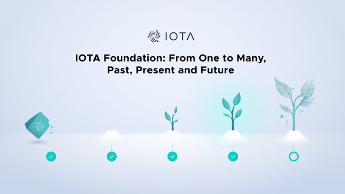 Bagaimana cara terlibat dalam komunitas crypto IOTA (IOTA)?