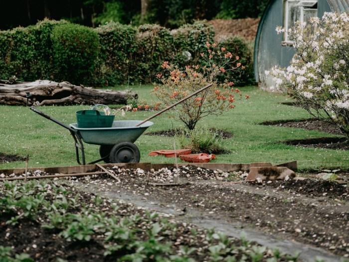 Tips Berkebun Di Tahun Baru 2025