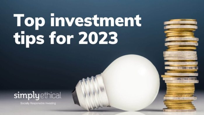 Tips Investasi Di Tahun Baru 2025