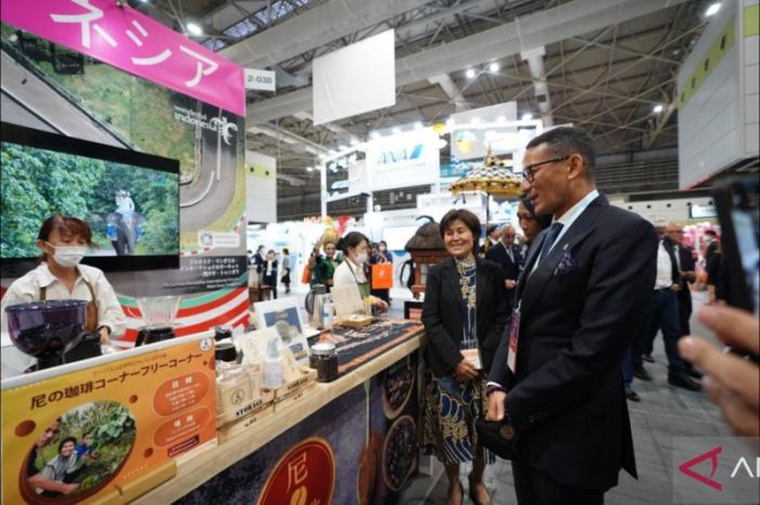 Peran Sektor Pariwisata Dalam Pemulihan Ekonomi Indonesia 2025