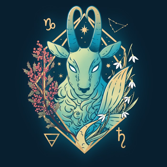 Ramalan Zodiak Capricorn Tahun 2025 Tips Meningkatkan Kualitas Hidup