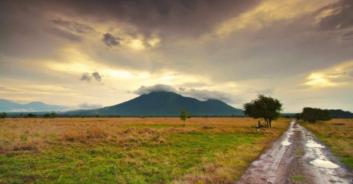 Merayakan tahun baru 2025 di Taman Nasional Baluran
