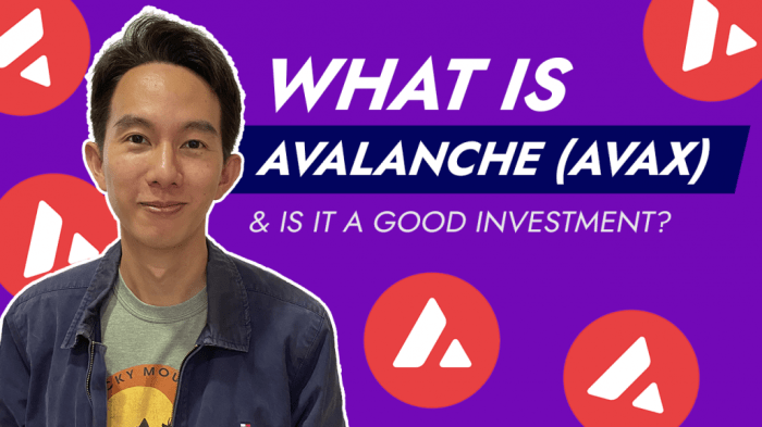 Strategi investasi jangka panjang Avalanche AVAX