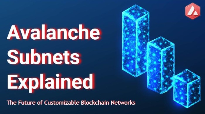 Bagaimana masa depan subnets di Avalanche?