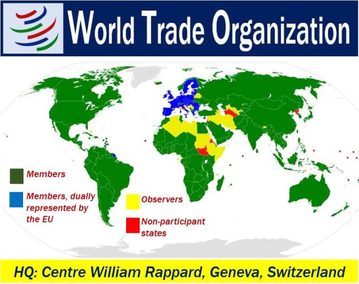 Bagaimana peran organisasi internasional seperti WTO dan IMF di tahun 2025?