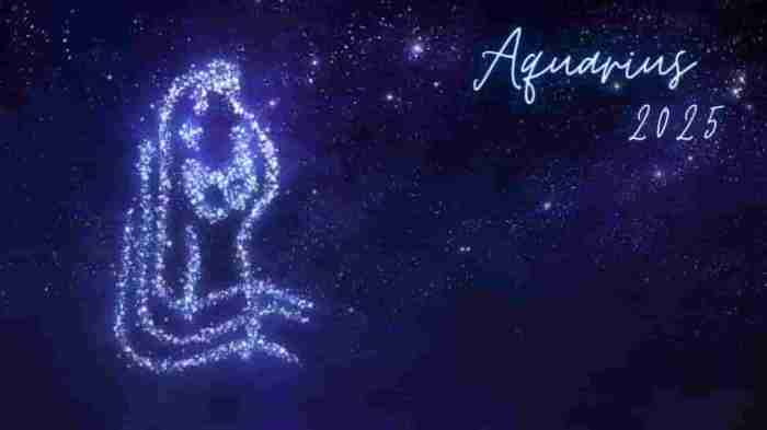 Ramalan Zodiak Aquarius Tahun 2025 Karir dan Pekerjaan