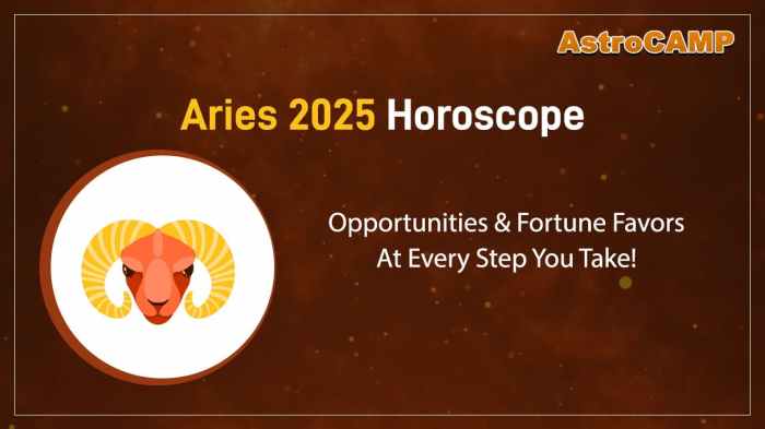 Ramalan Zodiak Aries Tahun 2025 Tips Meningkatkan Kualitas Hidup