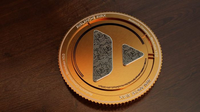 Bagaimana cara menyimpan token AVAX?