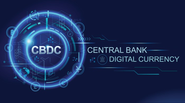 Apakah akan ada mata uang digital yang dikeluarkan oleh bank sentral di tahun 2025?