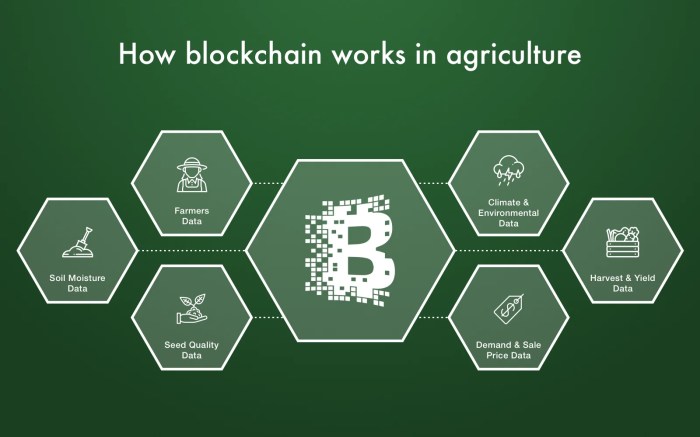 Blockchain technology untuk sektor pertanian