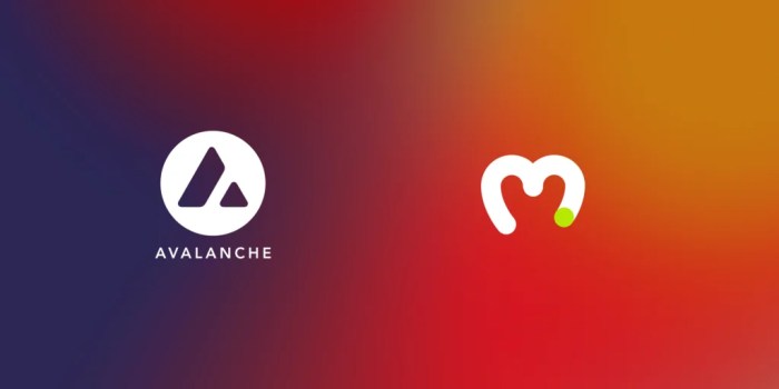 Bagaimana cara membangun dApps di Avalanche?