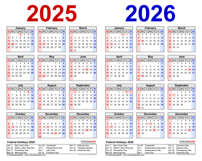 Tips aman merayakan tahun baru 2025 bertransaksi online
