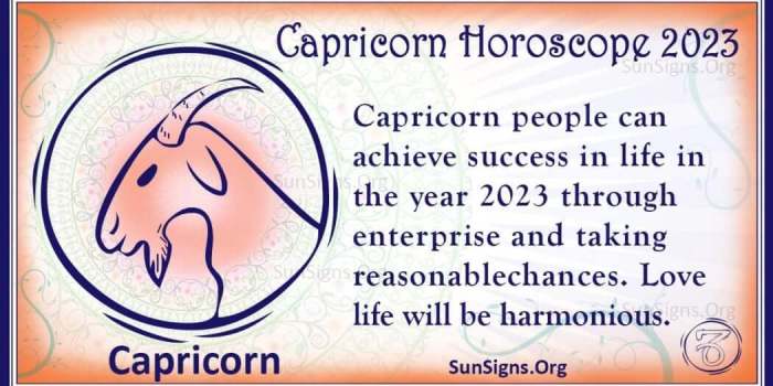 Ramalan Zodiak Capricorn Tahun 2025 Menurut Ahli Astrologi
