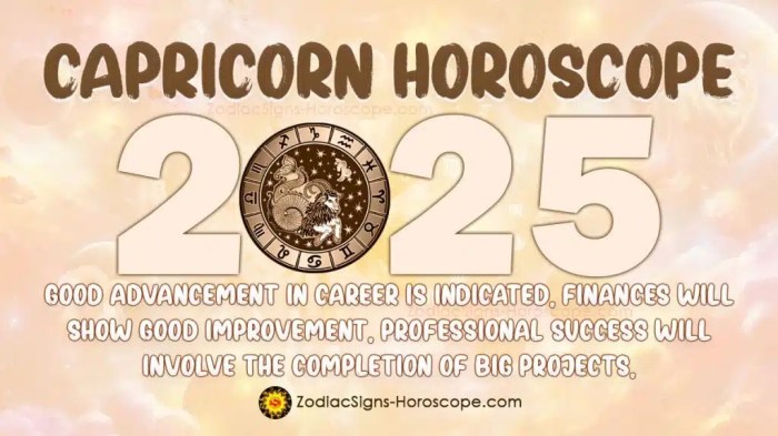 Ramalan Zodiak Capricorn Tahun 2025 Tips Karir dan Pekerjaan