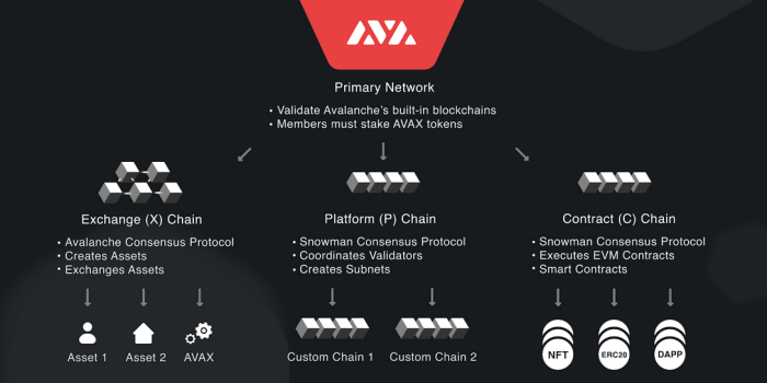 Apa itu subnet di Avalanche?