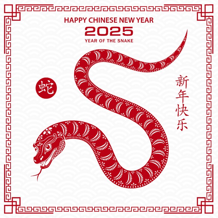 Ramalan Zodiak Capricorn Tahun 2025 untuk Semua Usia