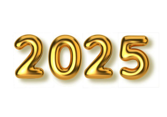 Twibbon Tahun Baru 2025 dengan Bingkai Foto Keren