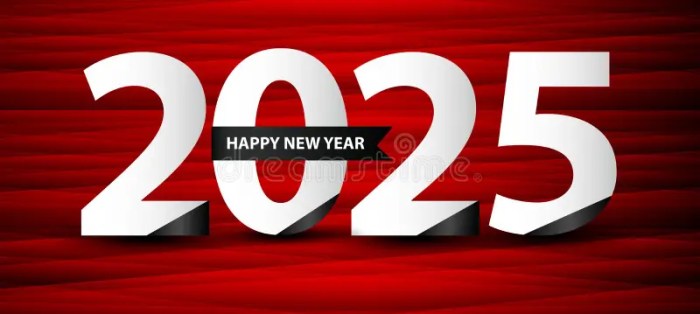 Tips aman merayakan tahun baru 2025 menghubungi ambulans