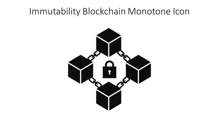 Apa yang dimaksud dengan immutability dalam blockchain?