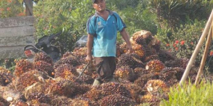 Apakah ada konflik agraria terkait sumber daya alam di Indonesia pada tahun 2025?