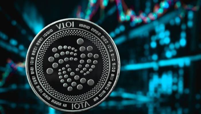 Bagaimana IOTA (MIOTA) meningkatkan efisiensi dan transparansi data