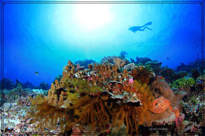 Daftar Bansos Desember 2024 Kepulauan Siau Tagulandang Biaro (Sitaro)