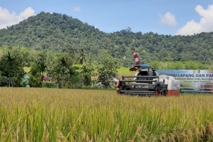 Kenaikan gaji pensiunan 2025 di Kalimantan Selatan
