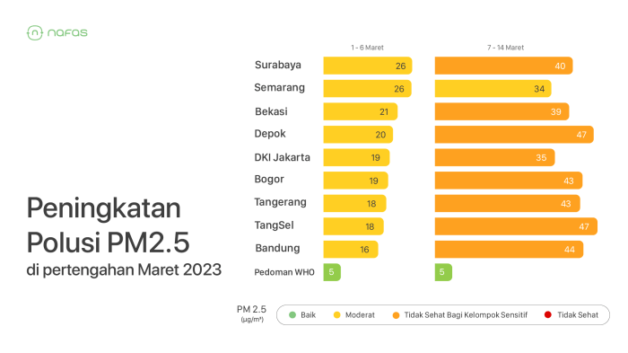 Bagaimana tingkat polusi udara di kota-kota besar di Indonesia pada tahun 2025?