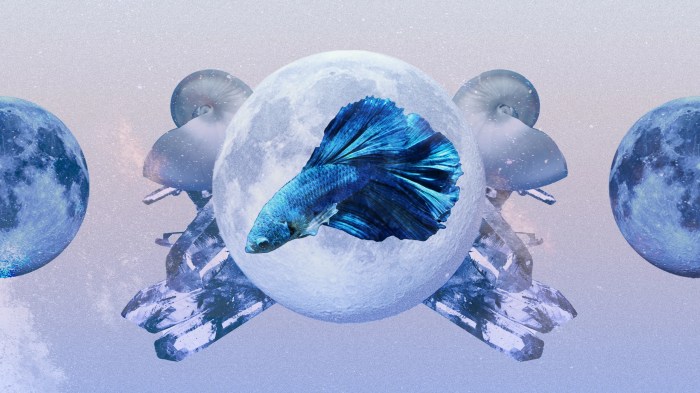 Ramalan Zodiak Pisces Tahun 2025 untuk Remaja