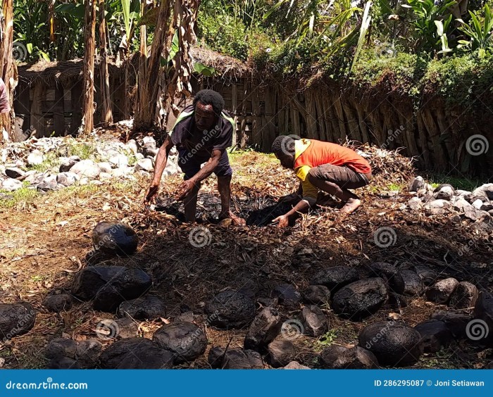 Tradisi bakar batu menyambut tahun baru 2025 di Papua