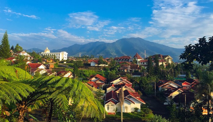Tempat wisata merayakan tahun baru 2025 di Puncak yang sejuk