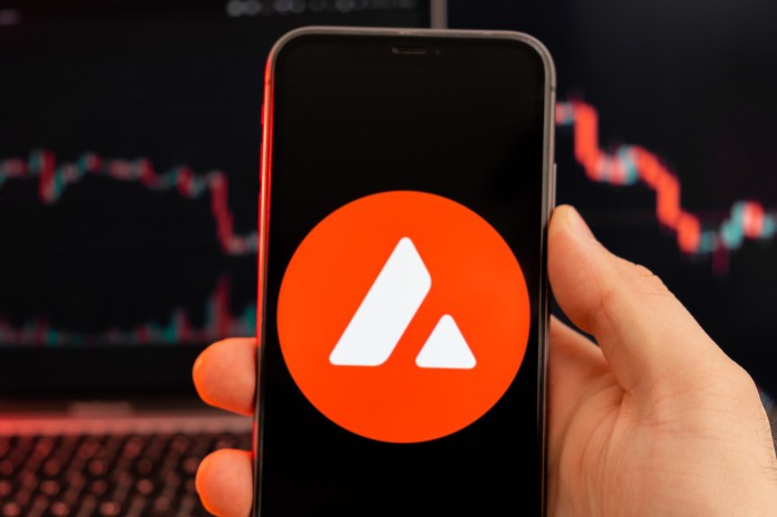 Apa saja proyek yang menggunakan subnets di Avalanche?
