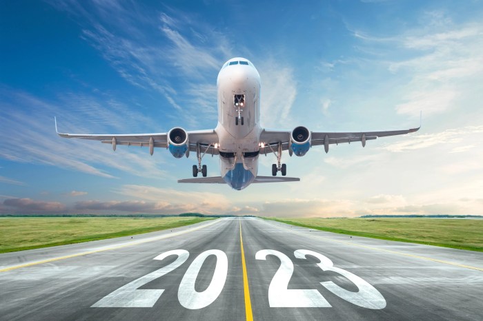Tiket pesawat tahun baru 2025 untuk perjalanan bisnis