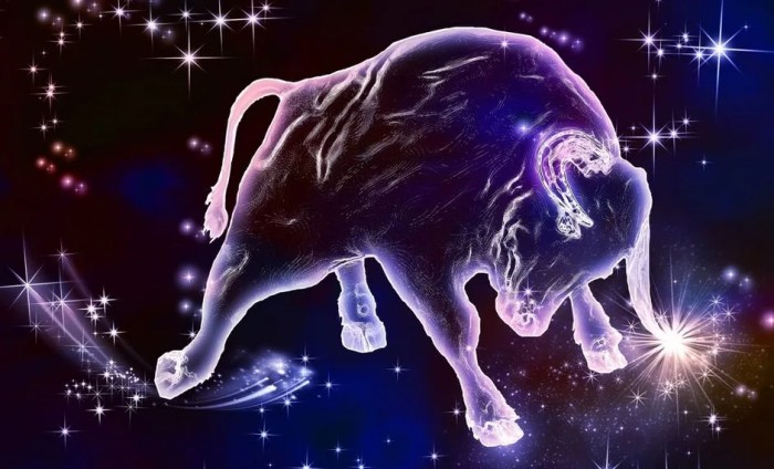 Ramalan Zodiak Taurus Tahun 2025 Tips Keuangan dan Investasi
