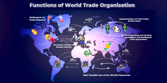 Bagaimana peran organisasi internasional seperti WTO dan IMF di tahun 2025?